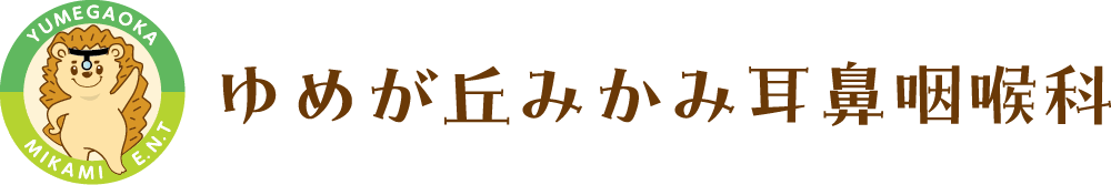ゆめが丘みかみ耳鼻咽喉科