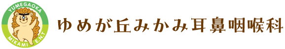 ゆめが丘みかみ耳鼻咽喉科